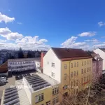 Rent 2 bedroom apartment of 58 m² in Plzeň