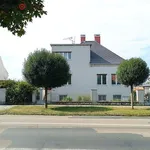 Rent 5 bedroom apartment in Mikulov