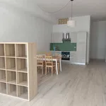 Rent 1 bedroom apartment of 40 m² in Carrara