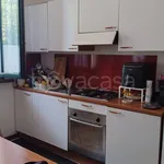 Rent 1 bedroom apartment of 45 m² in Milano