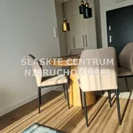 Rent 2 bedroom apartment of 43 m² in Katowice