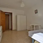 Alquilar 4 dormitorio apartamento en Valencia