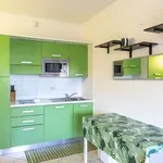 Rent 1 bedroom apartment in rome