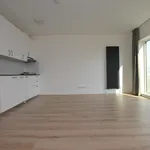 Studio of 29 m² in Groningen