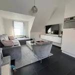 Rent 2 bedroom apartment in Hoogstraten (Hoogstraten)