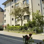 Miete 1 Schlafzimmer wohnung von 538 m² in Zurich