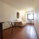 Rent 3 bedroom apartment of 70 m² in Florence