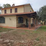 Rent 2 bedroom apartment of 50 m² in Montalto di Castro