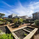 Rent 2 bedroom apartment in Braddon