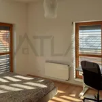 Rent 4 bedroom house in Prague