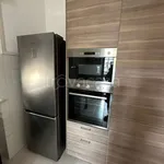 Rent 1 bedroom apartment of 110 m² in Novara