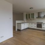 Rent 6 bedroom house of 170 m² in Zeestratenbuurt