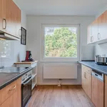 Rent 1 bedroom apartment of 65 m² in Berlin