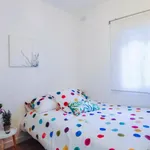 Rent 3 bedroom apartment in Madrid