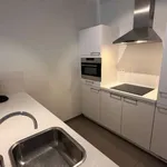 Rent 1 bedroom apartment in brussels