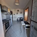 Rent 2 bedroom apartment of 40 m² in Roma