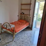 Rent 1 bedroom apartment of 20 m² in Montoro