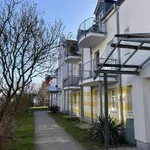 Helle 1-Raumwohnung mit Balkon in Frankenberg mieten