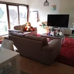 Rent 1 bedroom apartment in Vlekkem