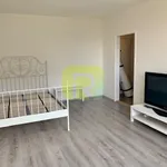 Pronajměte si 1 ložnic/e byt o rozloze 33 m² v Praha