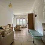 Rent 3 bedroom apartment of 90 m² in Roma