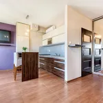 Rent 1 bedroom apartment of 27 m² in Łódź