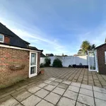 Rent 5 bedroom flat in Brighton