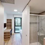 Alquilo 1 dormitorio apartamento de 18 m² en alicante