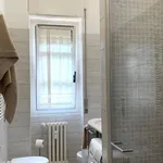 Rent 1 bedroom apartment in milan