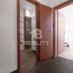 Rent 1 bedroom apartment of 39 m² in České Budějovice