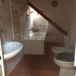 Rent 4 bedroom apartment of 85 m² in Bologna