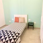 Rent a room in Firenze