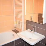 Rent 1 bedroom apartment of 48 m² in Brno