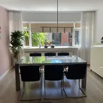 Rent 4 bedroom house in Haarlem