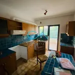 Rent 4 bedroom apartment of 145 m² in Νησί