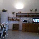 Rent 2 bedroom apartment of 55 m² in Olbia