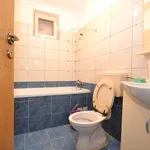 Rent 2 bedroom apartment of 50 m² in Timișoara