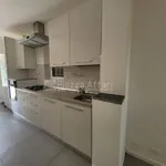 Rent 1 bedroom apartment of 45 m² in Reggio nell'Emilia