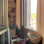 Rent a room in florence