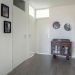 Rent 4 bedroom apartment of 89 m² in Boerhaavekwartier