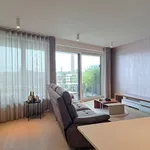 Rent 1 bedroom apartment in Hasselt