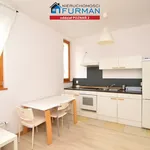 Rent 4 bedroom apartment of 54 m² in Poznan