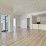 Rent 4 bedroom apartment of 143 m² in Herning