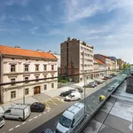 Rent 1 bedroom apartment of 39 m² in Prague