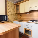 Rent 1 bedroom apartment in Florence