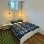 Rent 1 bedroom apartment of 50 m² in Prague