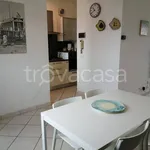 Rent 3 bedroom apartment of 70 m² in Viareggio