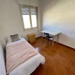 Habitación en madrid