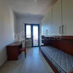 Rent 3 bedroom apartment of 65 m² in Frosinone