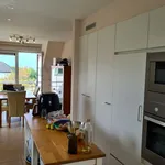 Rent 4 bedroom apartment in Oostduinkerke